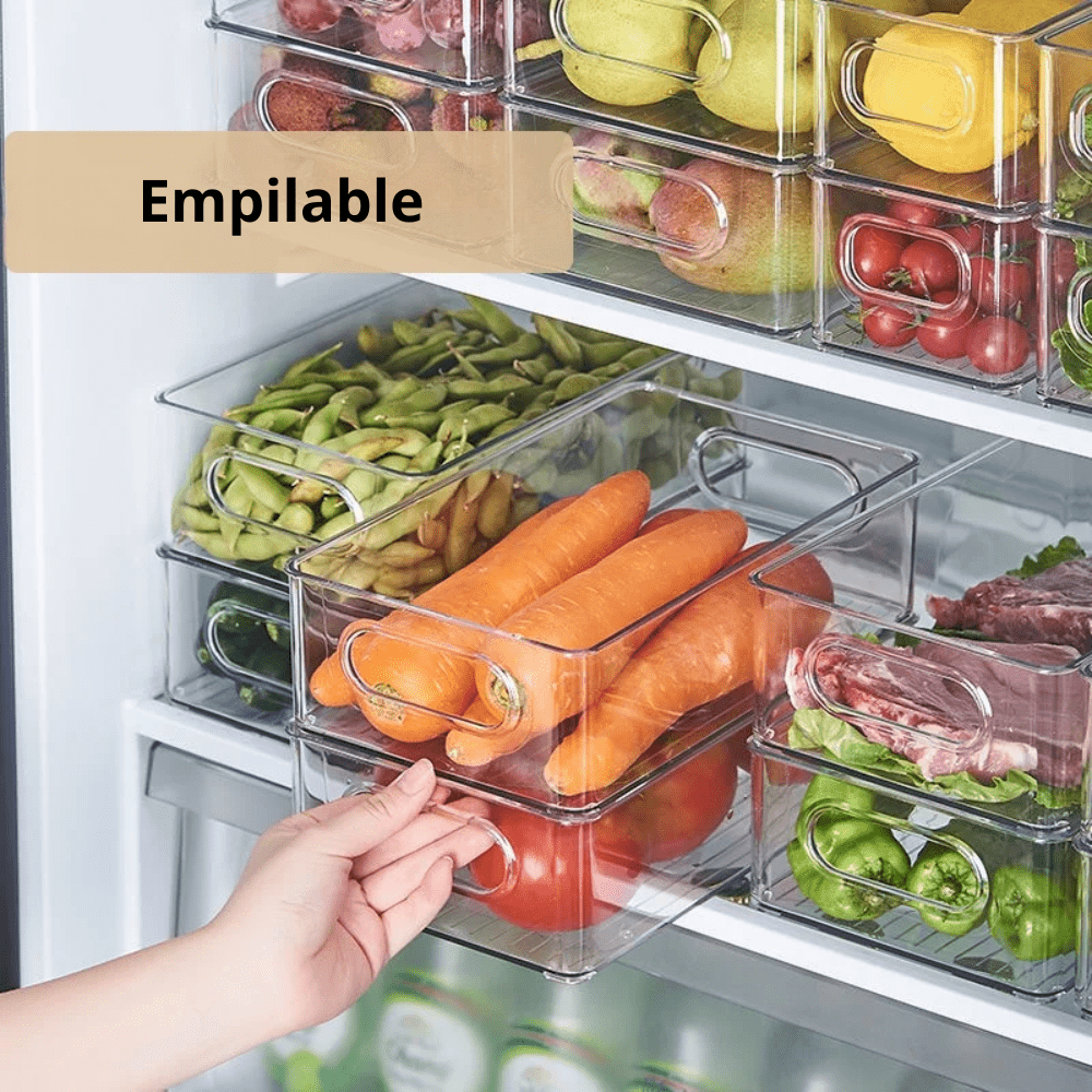 Bac Organisation Frigo