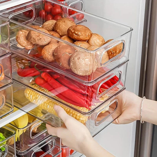 Bac Organisation Frigo
