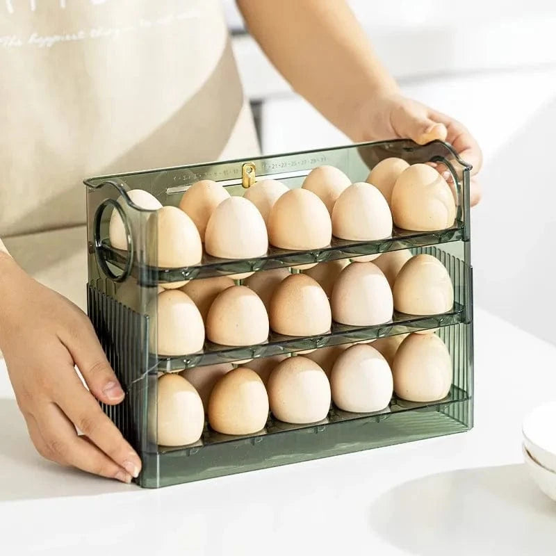 Range Oeuf Frigo Vert